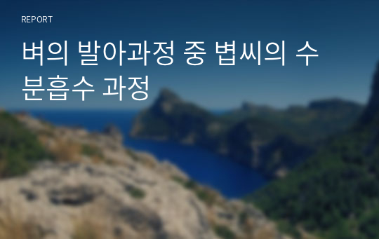 벼의 발아과정 중 볍씨의 수분흡수 과정