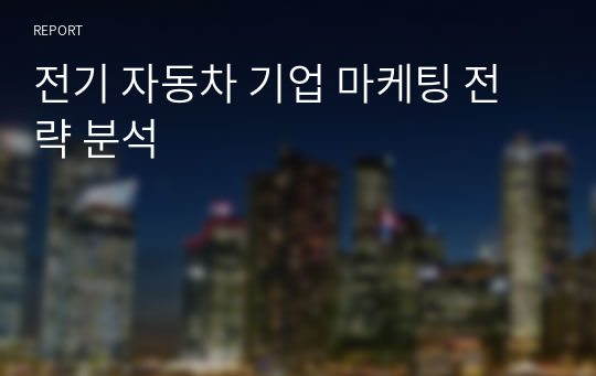 전기 자동차 기업 마케팅 전략 분석