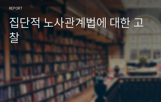 집단적 노사관계법에 대한 고찰