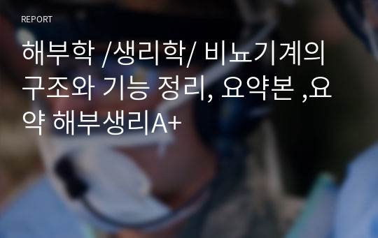 해부학 /생리학/ 비뇨기계의 구조와 기능 정리, 요약본 ,요약 해부생리A+