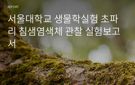 서울대학교 생물학실험 초파리 침샘염색체 관찰 실험보고서