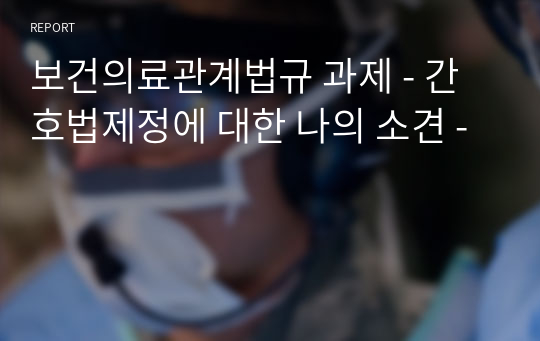 보건의료관계법규 과제 - 간호법제정에 대한 나의 소견 -