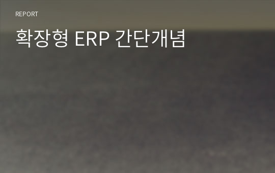 확장형 ERP 간단개념