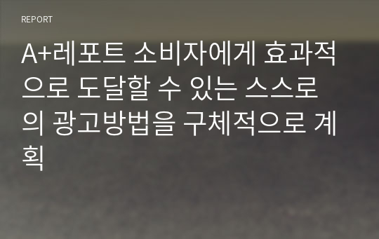 A+레포트 소비자에게 효과적으로 도달할 수 있는 스스로의 광고방법을 구체적으로 계획