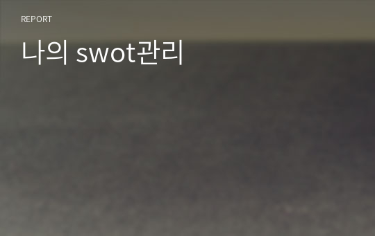 나의 swot관리