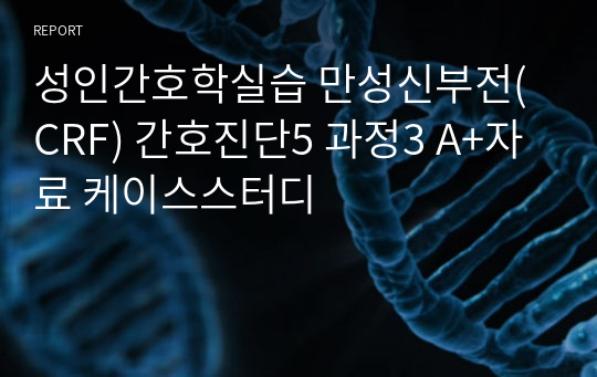 성인간호학실습 만성신부전(CRF) 간호진단5 과정3 A+자료 케이스스터디