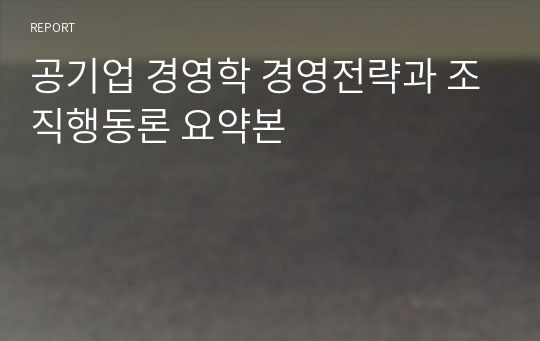 공기업 경영학 경영전략과 조직행동론 요약본