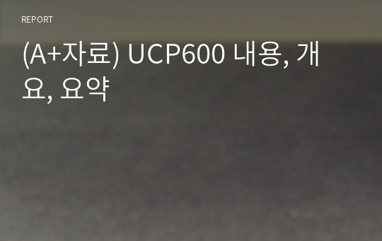 (A+자료) UCP600 내용, 개요, 요약