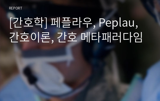 [간호학] 페플라우, Peplau, 간호이론, 간호 메타패러다임