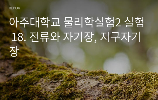 아주대학교 물리학실험2 실험 18. 전류와 자기장, 지구자기장