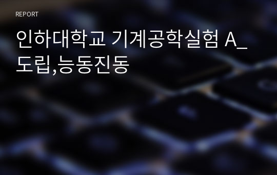 인하대학교 기계공학실험 A_도립,능동진동