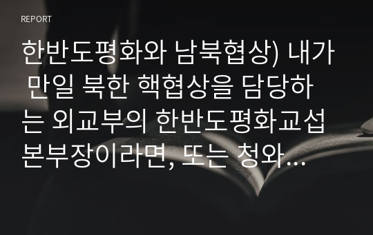 한반도평화와 남북협상) 내가 만일 북한 핵협상을 담당하는 외교부의 한반도평화교섭본부장이라면, 또는 청와대의 평화기획비서관이라면, 한반도의 비핵화를 위해 어떠한 전략을 가지고 노력할 수 있을지 상상해 봅시다.