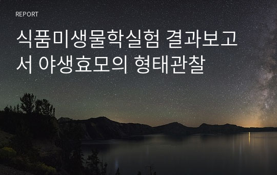 식품미생물학실험 결과보고서 야생효모의 형태관찰