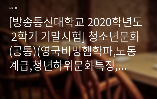 [방송통신대학교 2020학년도 2학기 기말시험] 청소년문화(공통)(영국버밍햄학파,노동계급,청년하위문화특징,청소년욕설문화,교육적과제)