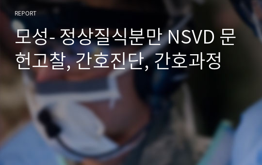 모성- 정상질식분만 NSVD 문헌고찰, 간호진단, 간호과정