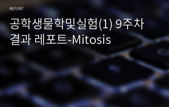 공학생물학및실험(1) 9주차 결과 레포트-Mitosis