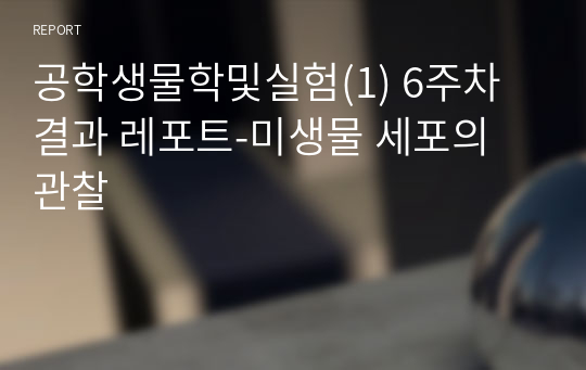 공학생물학및실험(1) 6주차 결과 레포트-미생물 세포의 관찰