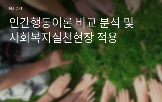 인간행동이론 비교 분석 및 사회복지실천현장 적용