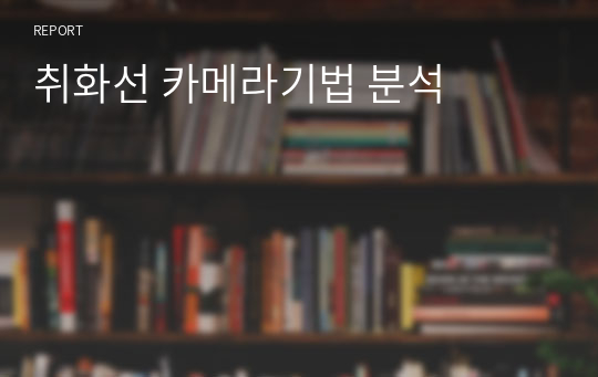 취화선 카메라기법 분석