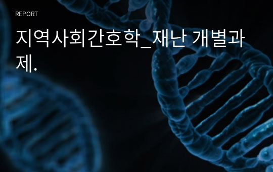 지역사회간호학_재난 개별과제.