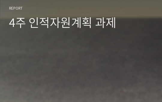 4주 인적자원계획 과제