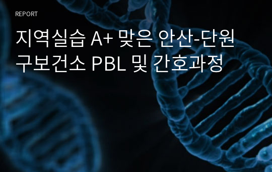 지역실습 A+ 맞은 안산-단원구보건소 PBL 및 간호과정