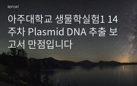 아주대학교 생물학실험1 14주차 Plasmid DNA 추출 보고서 만점입니다