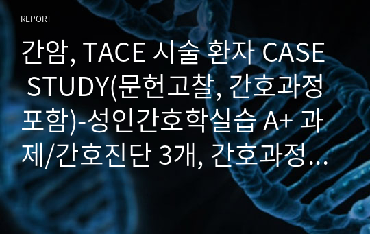 간암, TACE 시술 환자 CASE STUDY(문헌고찰, 간호과정 포함)-성인간호학실습 A+ 과제/간호진단 3개, 간호과정 3개