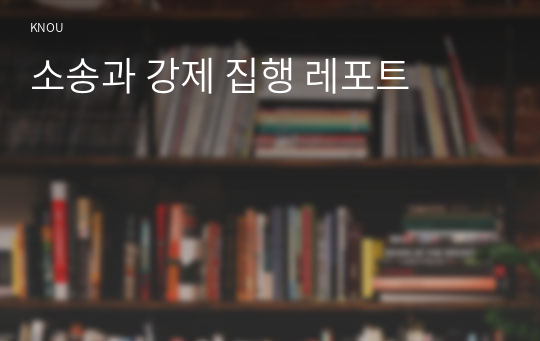 소송과 강제 집행 레포트