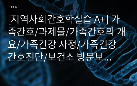 [지역사회간호학실습 A+] 가족간호/과제물/가족간호의 개요/가족건강 사정/가족건강 간호진단/보건소 방문보건 업무/보건의료 인력의 역할/간호전문직 표준과 법적, 윤리적 기준