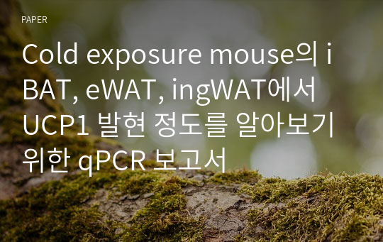 Cold exposure mouse의 iBAT, eWAT, ingWAT에서  UCP1 발현 정도를 알아보기 위한 qPCR 보고서