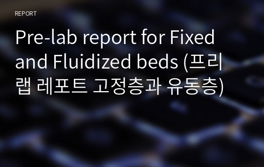 [A+] Pre-lab report for Fixed and Fluidized beds (프리랩 레포트 고정층과 유동층)