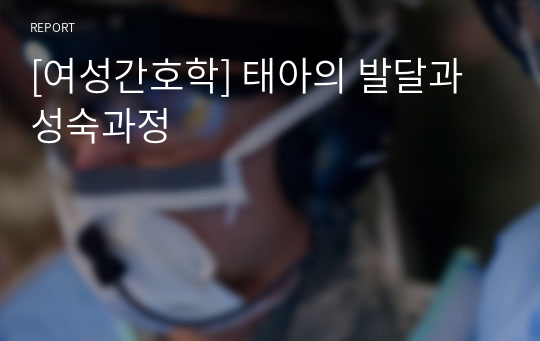 [여성간호학] 태아의 발달과 성숙과정