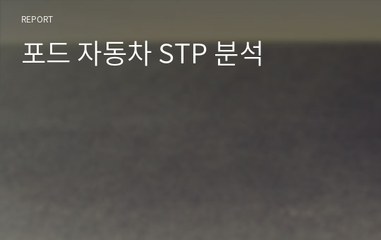 포드 자동차 STP 분석