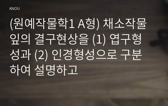 (원예작물학1 A형) 채소작물 잎의 결구현상을 (1) 엽구형성과 (2) 인경형성으로 구분하여 설명하고