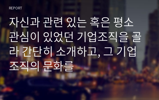 자신과 관련 있는 혹은 평소 관심이 있었던 기업조직을 골라 간단히 소개하고, 그 기업조직의 문화를