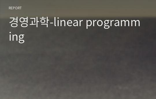 경영과학-linear programming