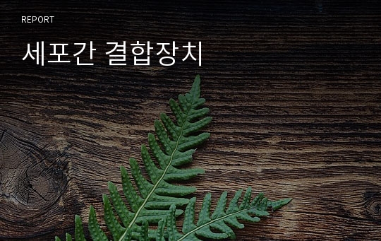 세포간 결합장치