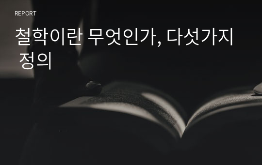 철학이란 무엇인가, 다섯가지 정의