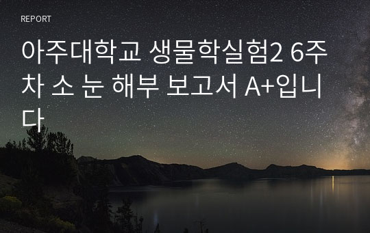 아주대학교 생물학실험2 6주차 소 눈 해부 보고서 A+입니다