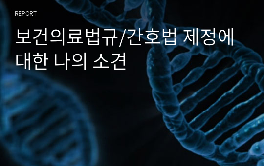 보건의료법규/간호법 제정에 대한 나의 소견