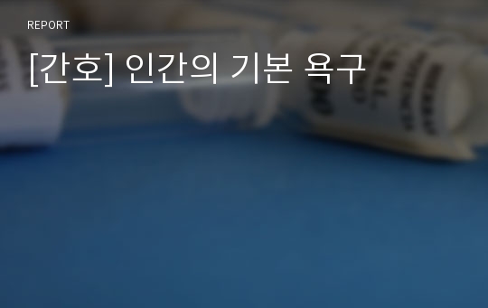 [간호] 인간의 기본 욕구