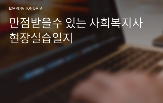 만점받을수 있는 사회복지사 현장실습일지