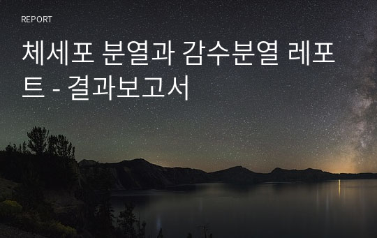 체세포 분열과 감수분열 레포트 - 결과보고서