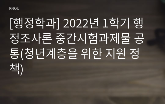 [행정학과] 2022년 1학기 행정조사론 중간시험과제물 공통(청년계층을 위한 지원 정책)