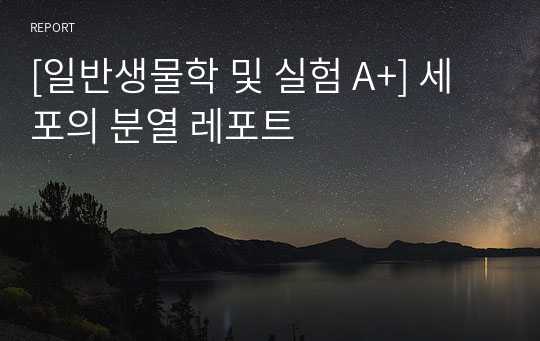 [일반생물학 및 실험 A+] 세포의 분열 레포트