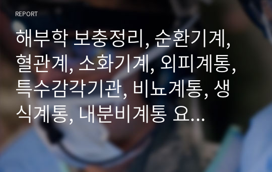 해부학 보충정리, 순환기계, 혈관계, 소화기계, 외피계통, 특수감각기관, 비뇨계통, 생식계통, 내분비계통 요약 정리