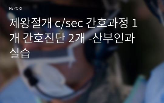 제왕절개 c/sec 간호과정 1개 간호진단 2개 -산부인과 실습