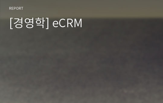 [경영학] eCRM