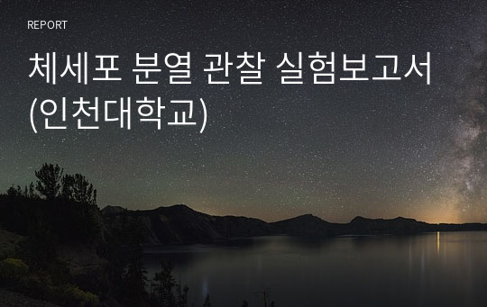 체세포 분열 관찰 실험보고서(인천대학교)